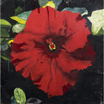 Rosa china roja