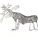 Combat de cerfs